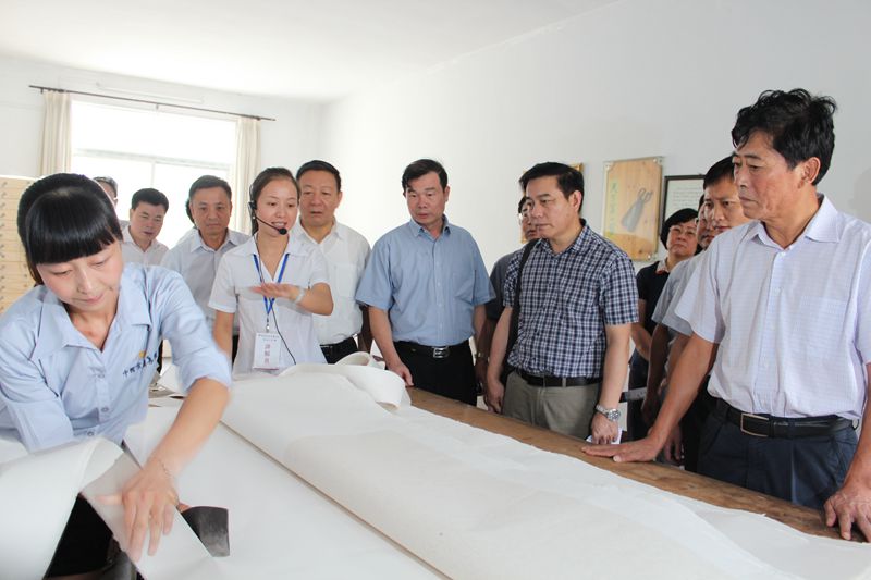 住瓊全國政協(xié)委員考察團來中國宣紙文化園考察調研宣紙文化發(fā)展情況